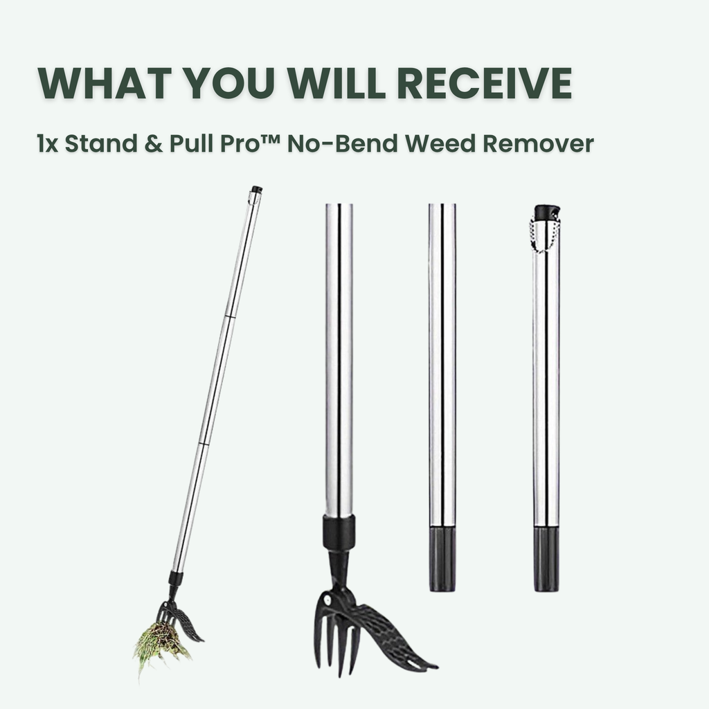 Stand & Pull Pro™ No-Bend Weed Remover