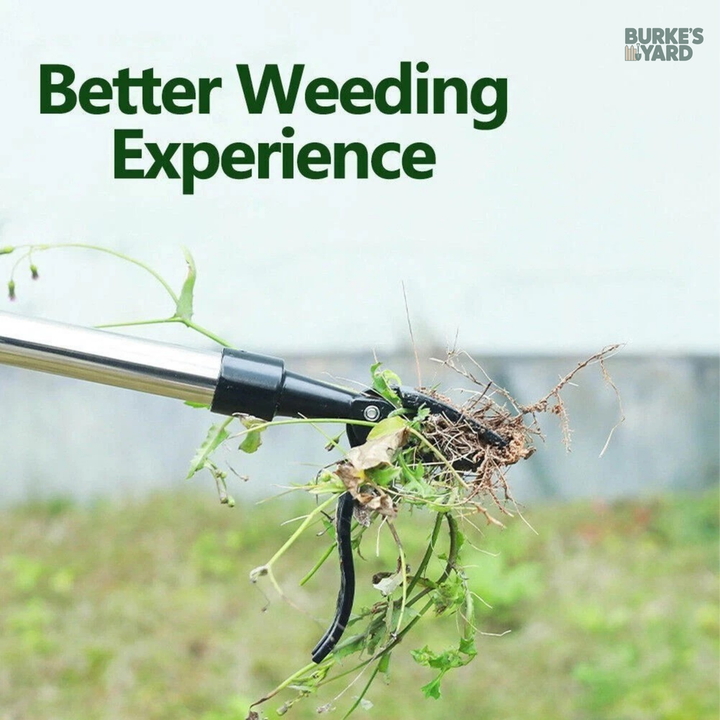 Stand & Pull Pro™ No-Bend Weed Remover