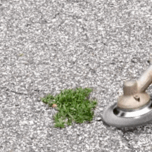 TurboTrim™ | Indestructible Weed Trimmer Head