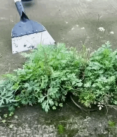 GroundMaster™ Multifunctional Shovel Head